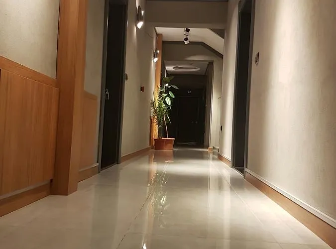 Hotel Doctor House Talas